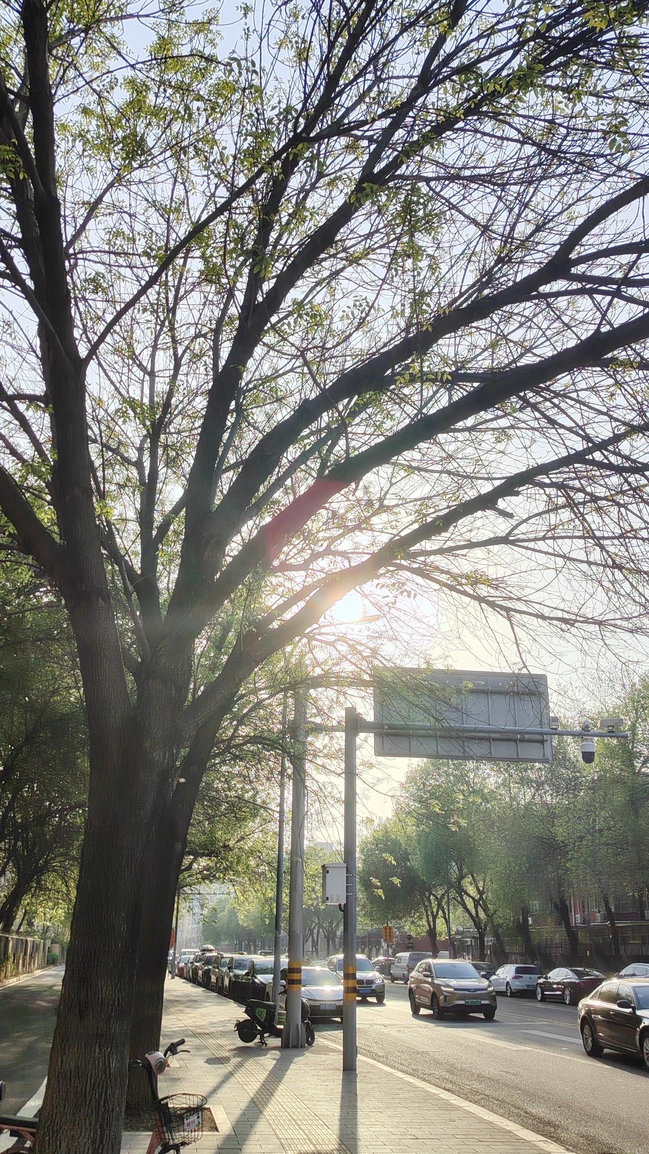 锐意进取，不言放弃…
警句：人生没有太晚的开始，只有太早的放弃。

小故事：一位