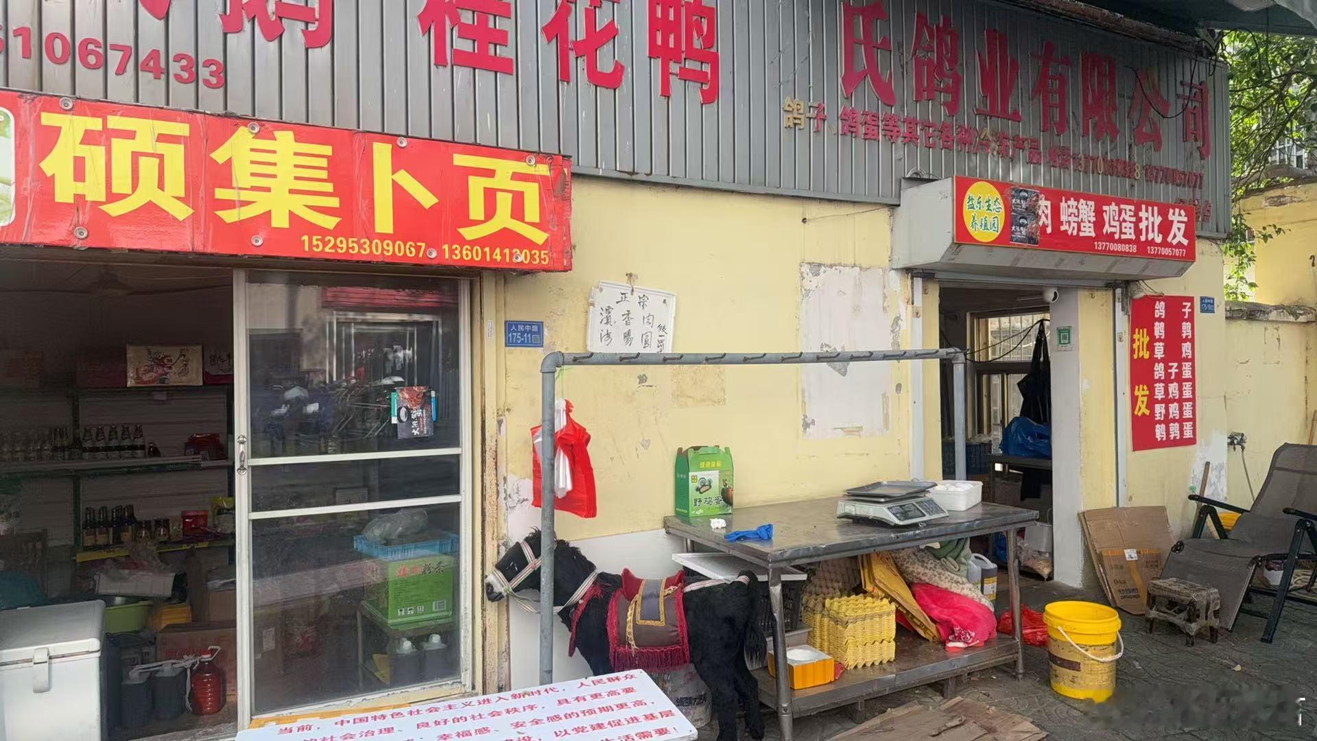 快看小毛驴做错事，被罚面壁思过。 