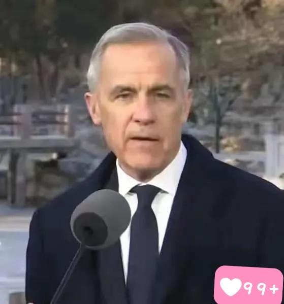 1月20日，加拿大总理马克·卡尼在瑞士达沃斯论坛上的演讲掷地有声，其核心表态直指