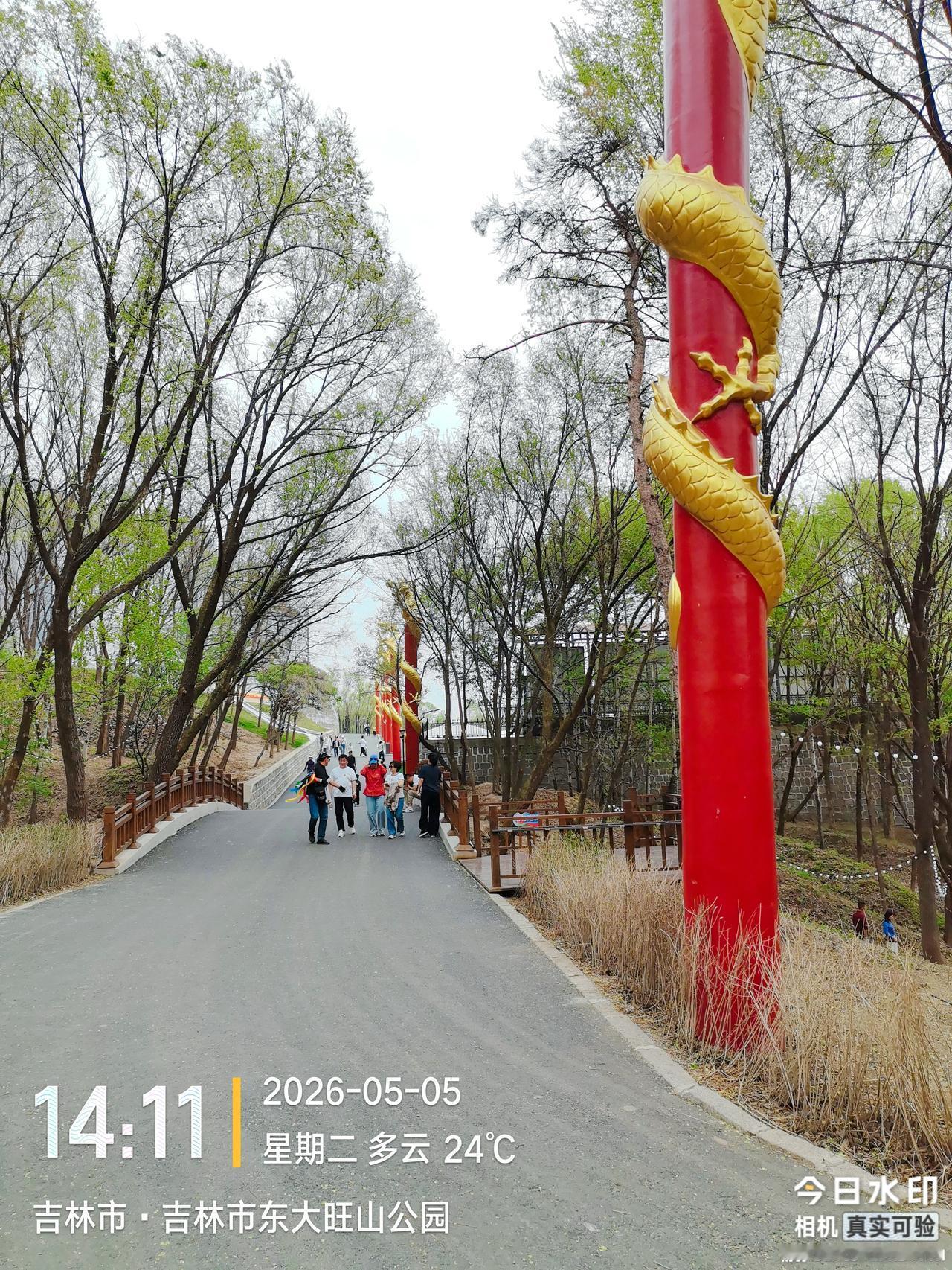 坐标吉林市， 2026年5月7日上午08:05分，经过5天的细心观察，很多市民发