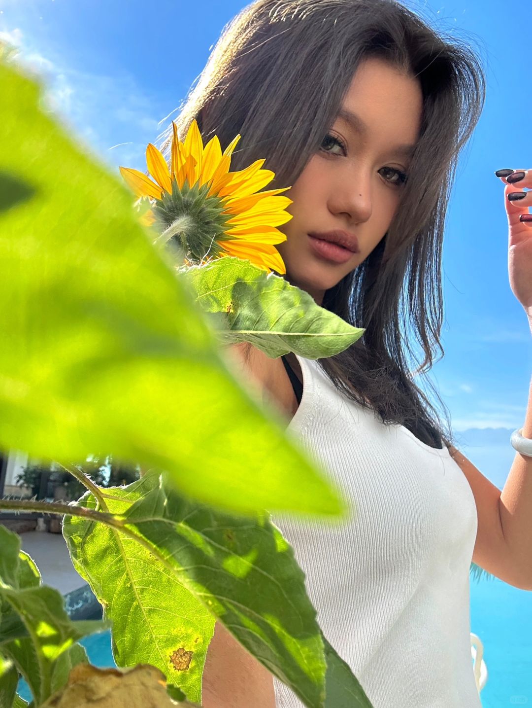 喜欢暖和的地方