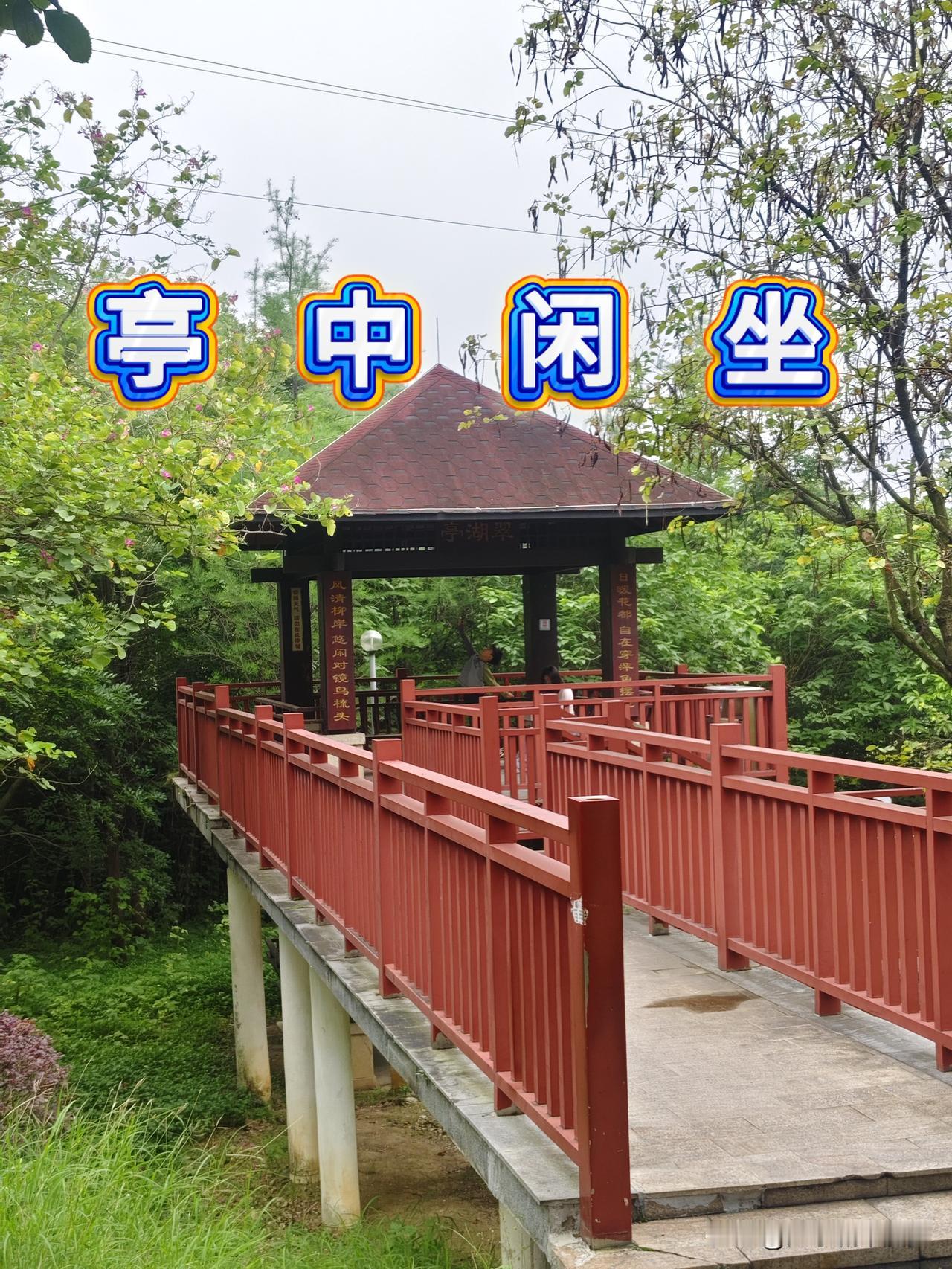 随拍｜亭中风景，有只小鸟依人站在树枝上不知张望什么？

你不用刻意奔赴什么网红打