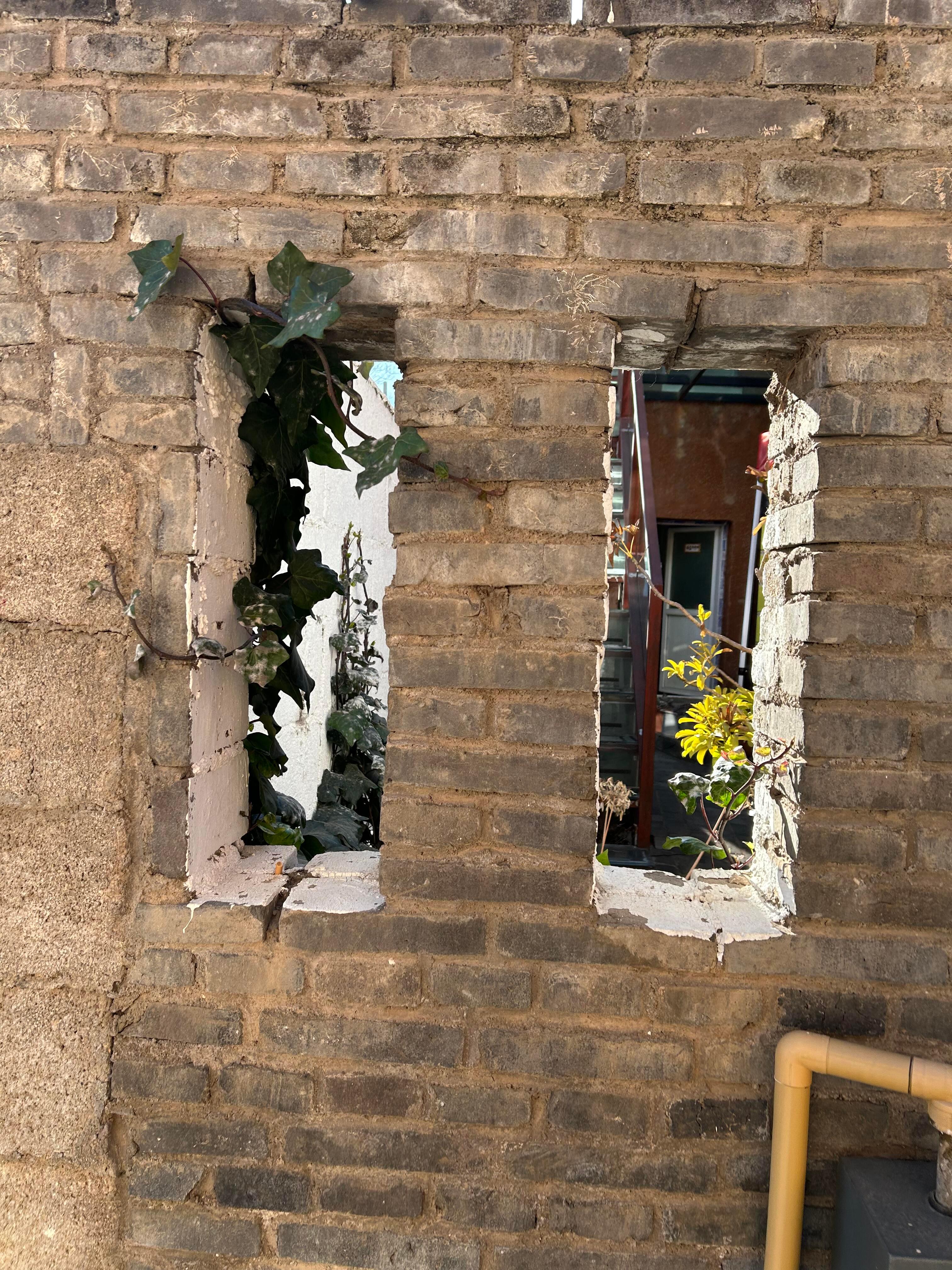 土生土长holdoumen果然是自然自在自潮流野花野草确实自然、自在、自潮流～十