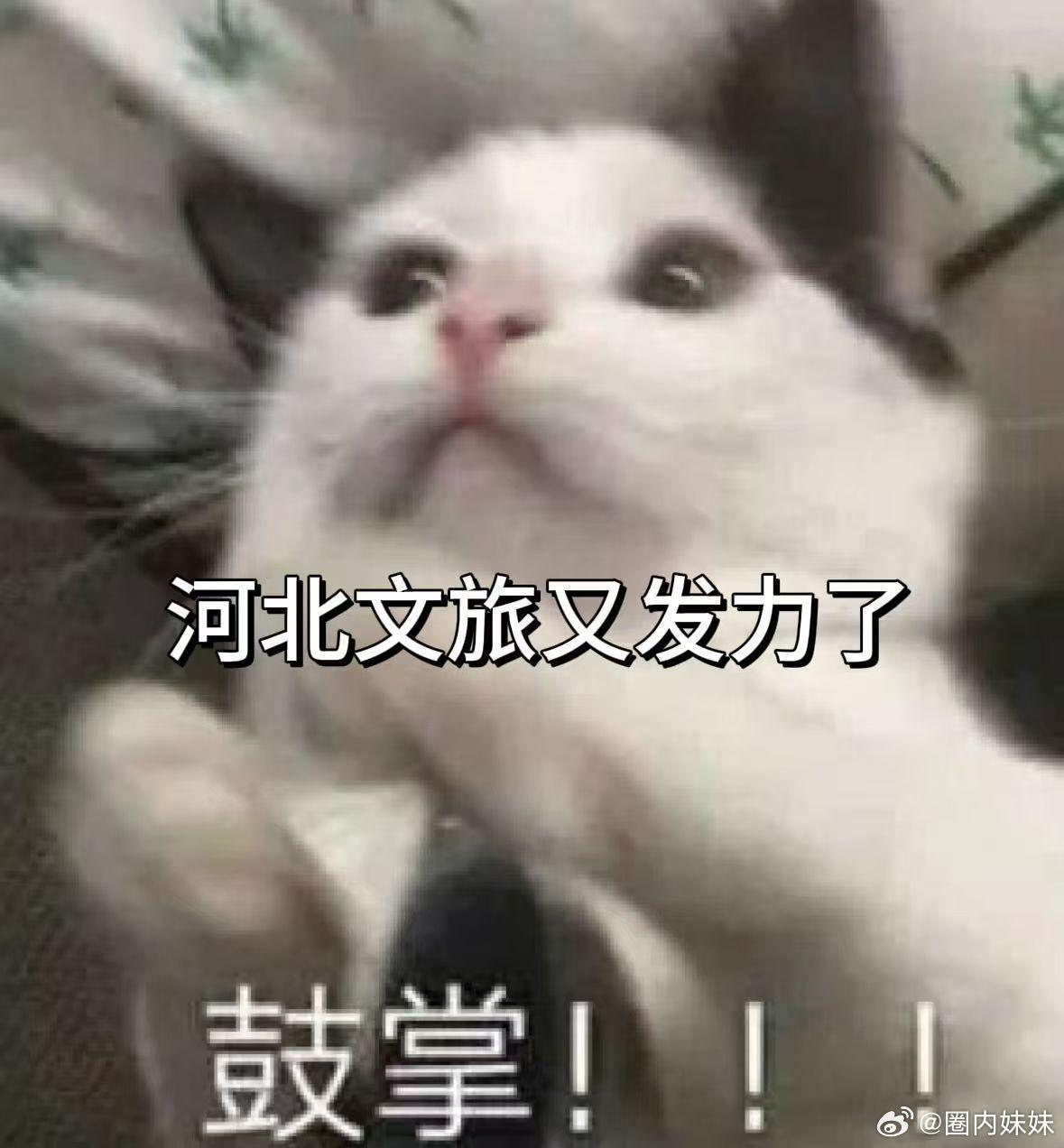 这波真的觉得这个周末又被河北拿捏住了！国家第一批非遗蔚县剪纸也太太太好看了吧！不