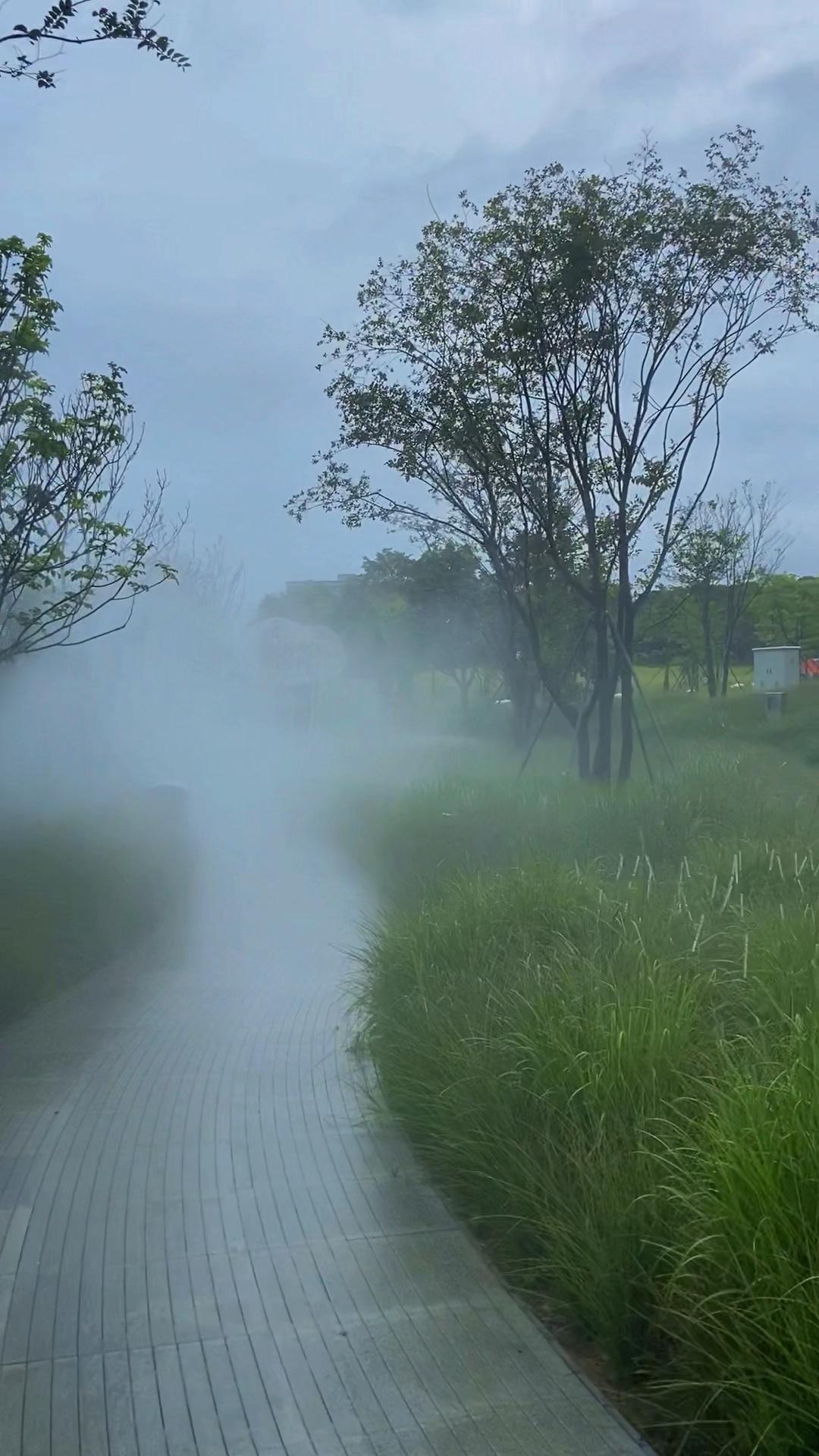 别把宜昌的大雾预警当“普通提醒”！

能见度不足500米的清晨，这可是给出行装了