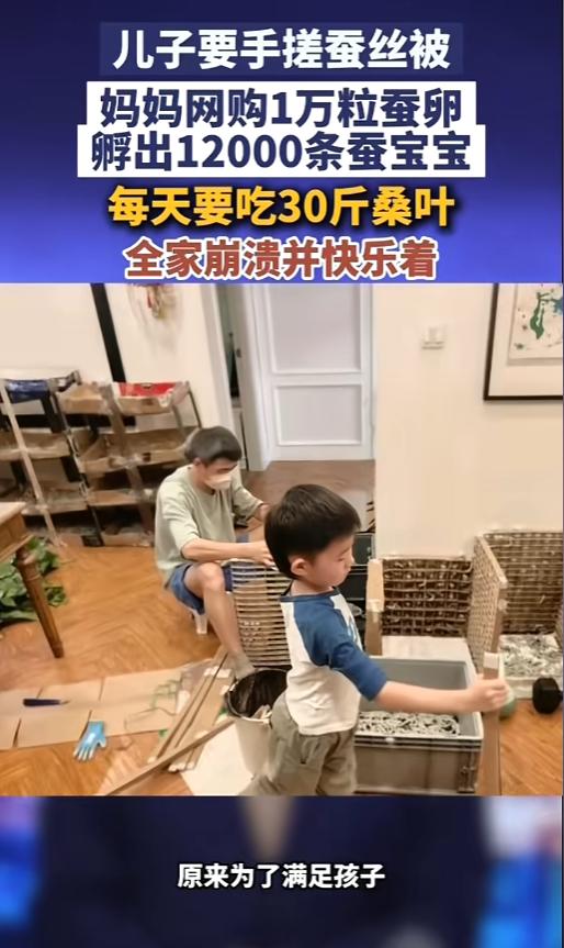 “痛并快乐着！”5月19日报道，湖北武汉，一位男孩突发奇想，想要自己养蚕给自己做