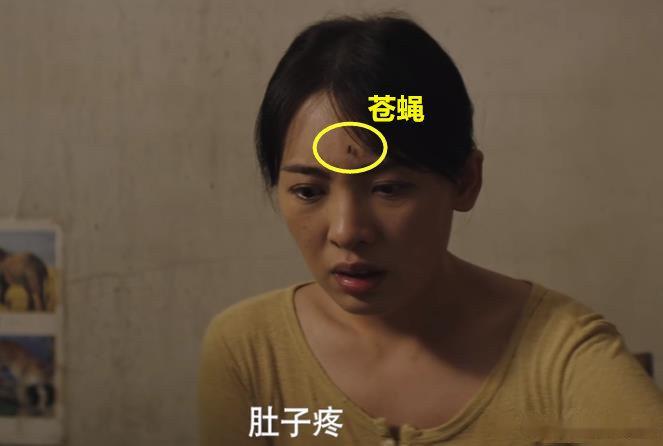  审讯丁春妹，丁春妹有一只苍蝇
