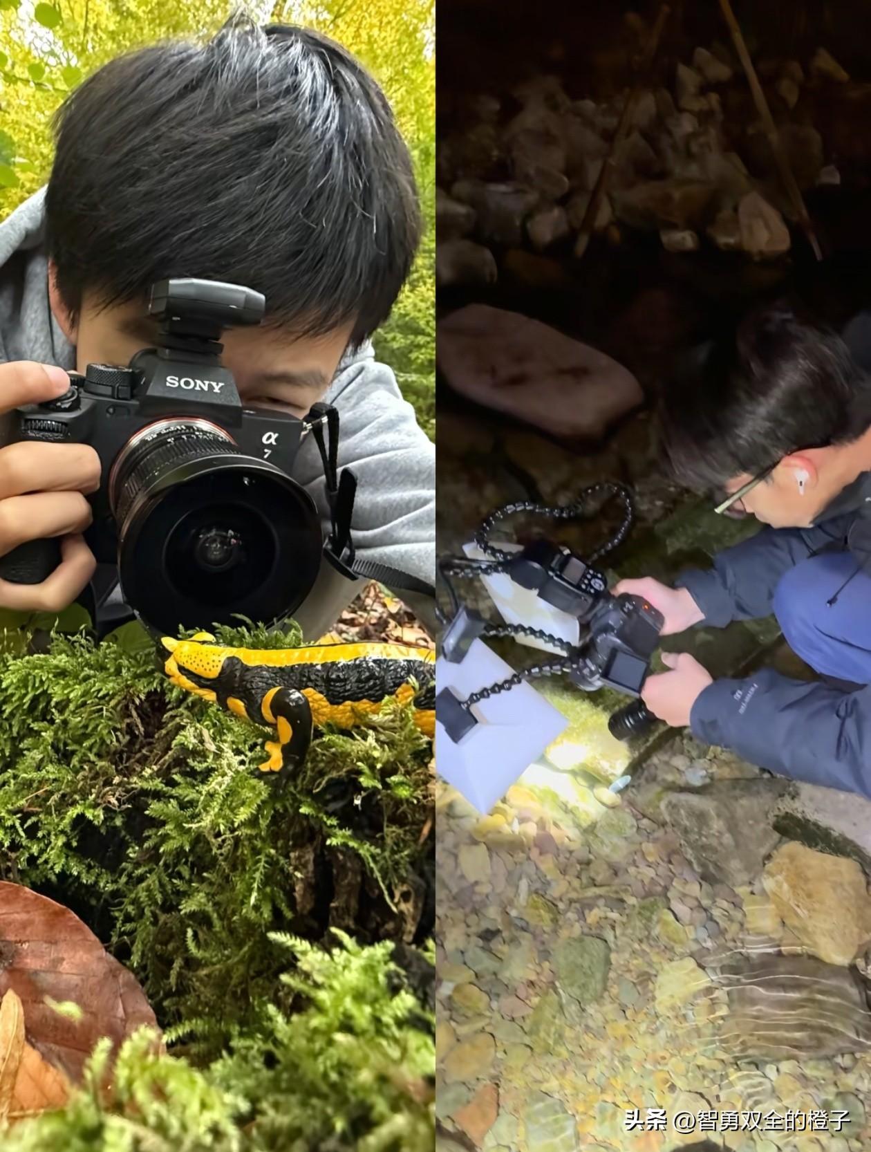 果然群众眼睛都是雪亮的！

刷到浙江17岁高中生发现新物种“筷子蛇”，并发表sc