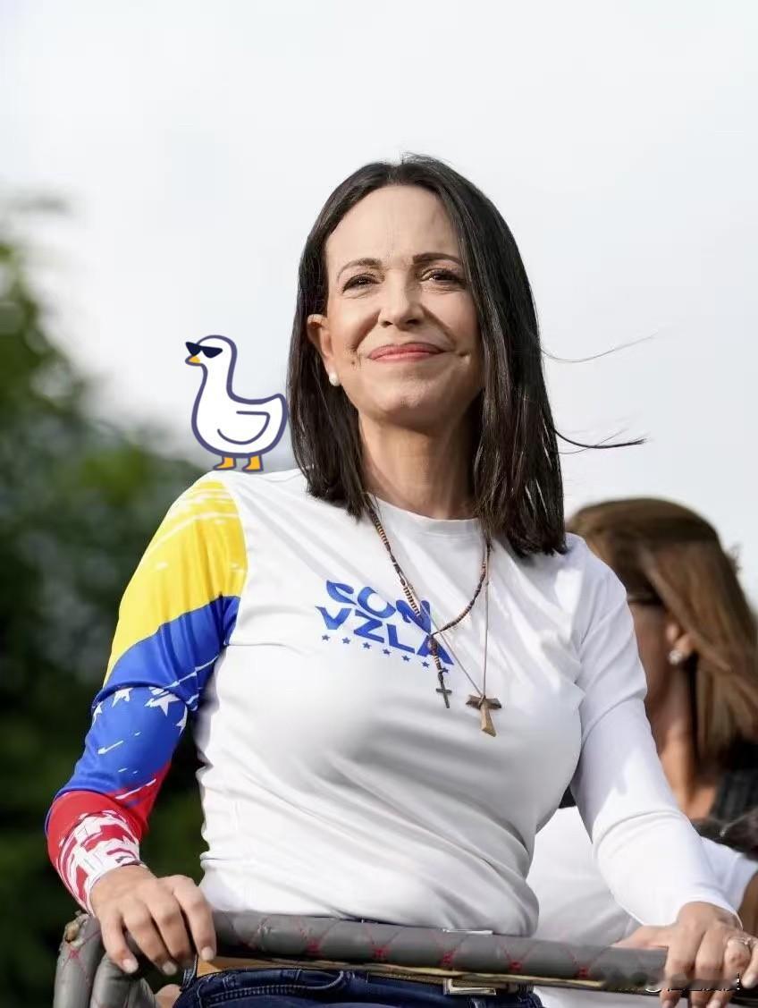 突发：据消息人士透露，委内瑞拉反对派已开始集结力量，控制政府大楼，并致力于建立合