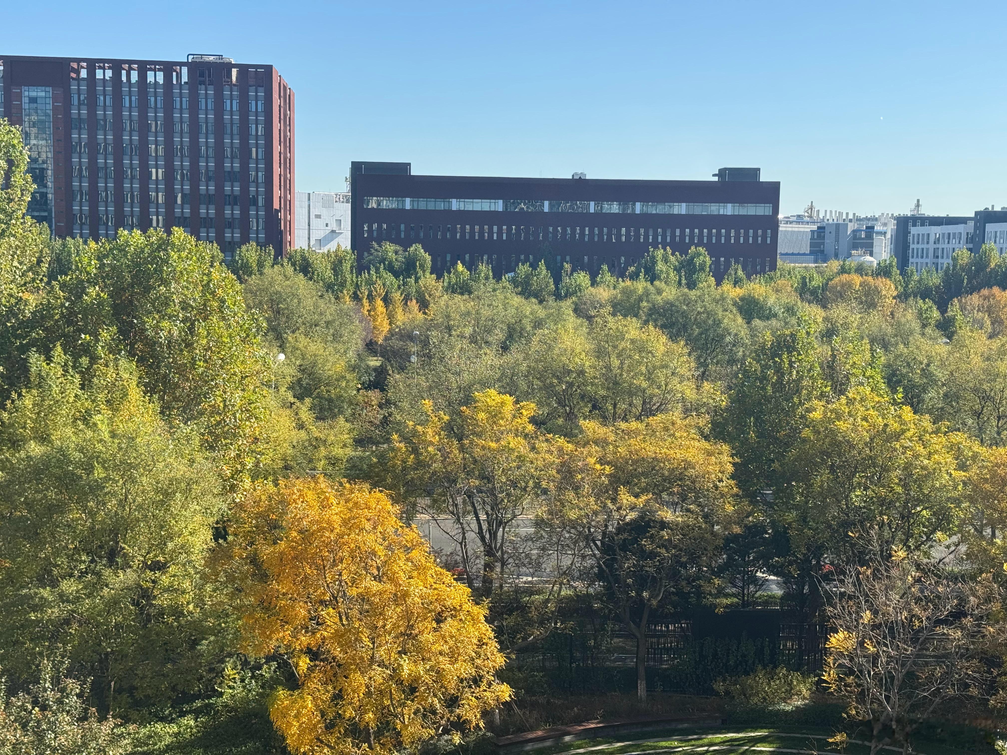 好久不骑车，骑一天腰酸背疼到家躺床上就想睡，结果饿醒了[喵喵]吃完后沙发上打盹，