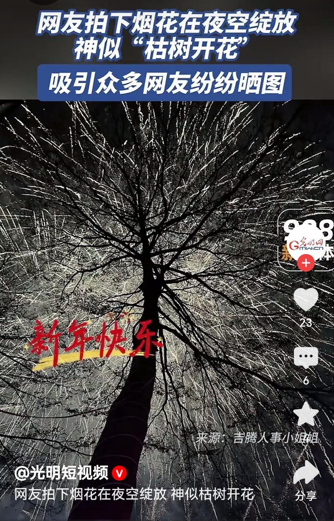 烟花在夜空绽放如枯树开花枯树开花，烟火迎春，这是独属于中国人的浪漫年味。每一朵烟