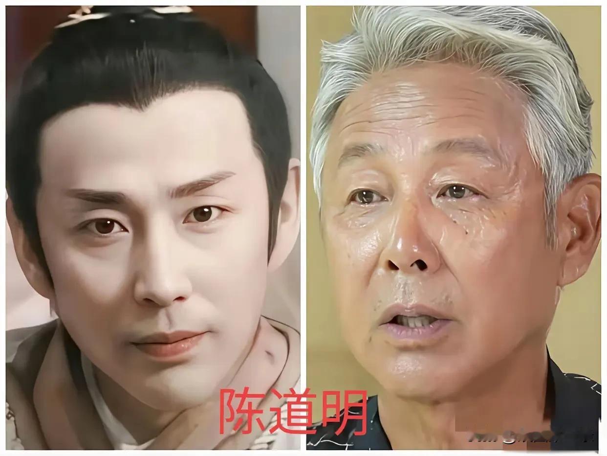 发现了吗？陈道明给人的第一感觉不是帅，而是正，眼神犀利，背部挺直，往那一站气场十