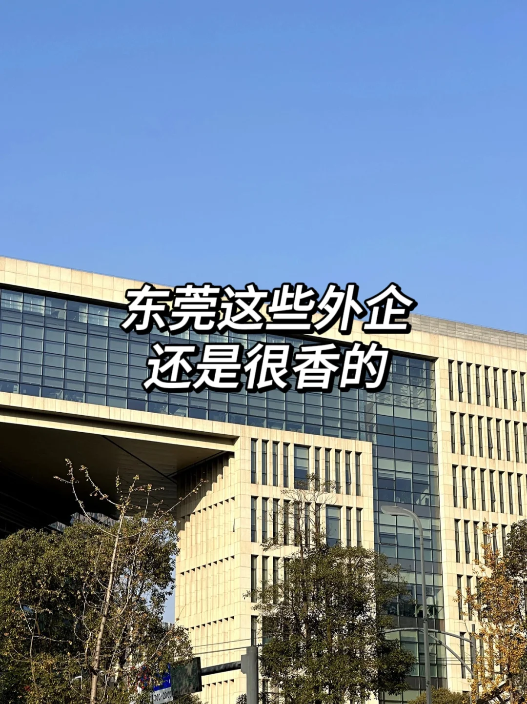 东莞这些外企还是很香的