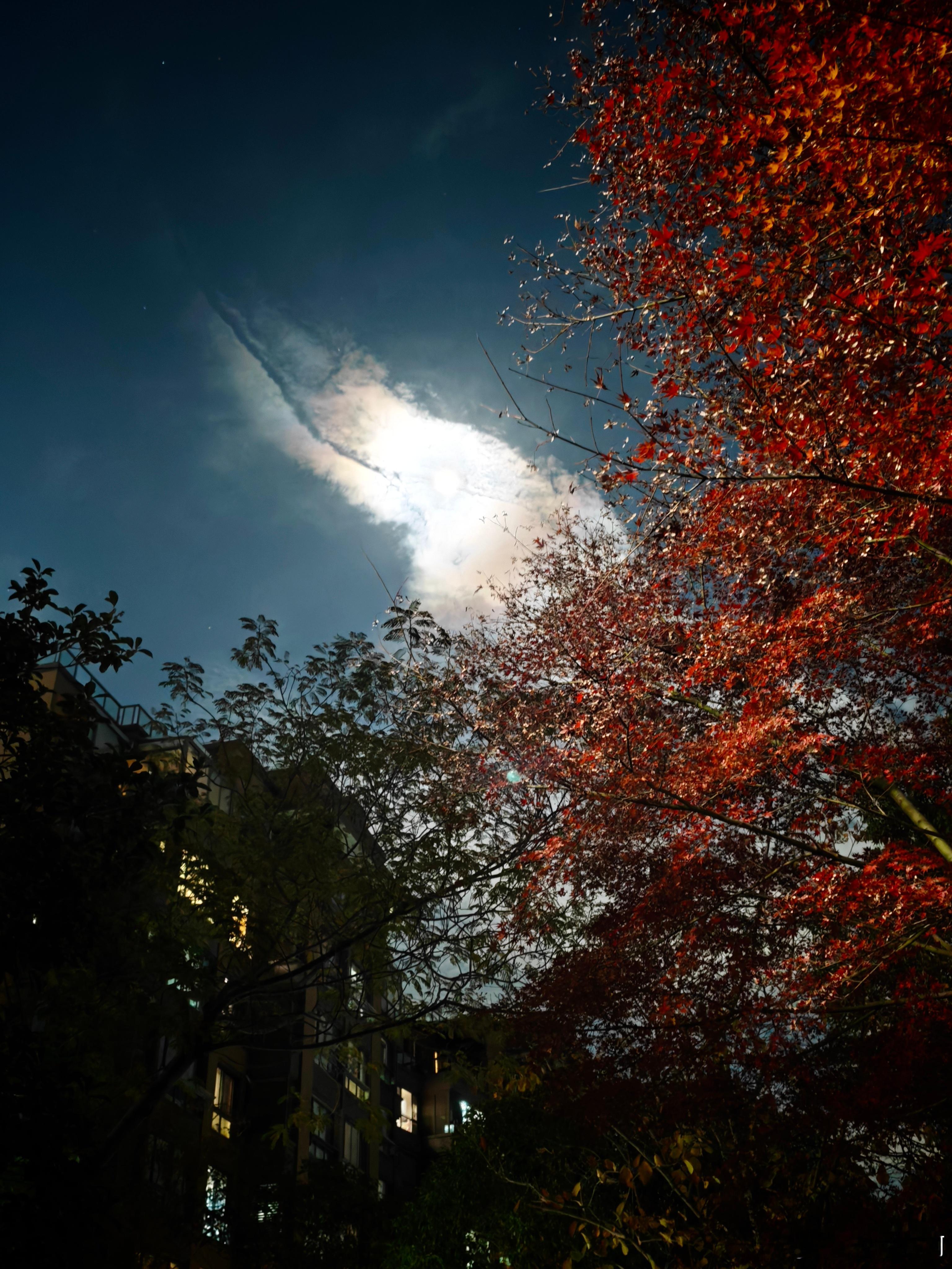 今晚的月亮很圆很亮。用小米17 pro拍了几张，一时间竟不知道该说相机的算法好还