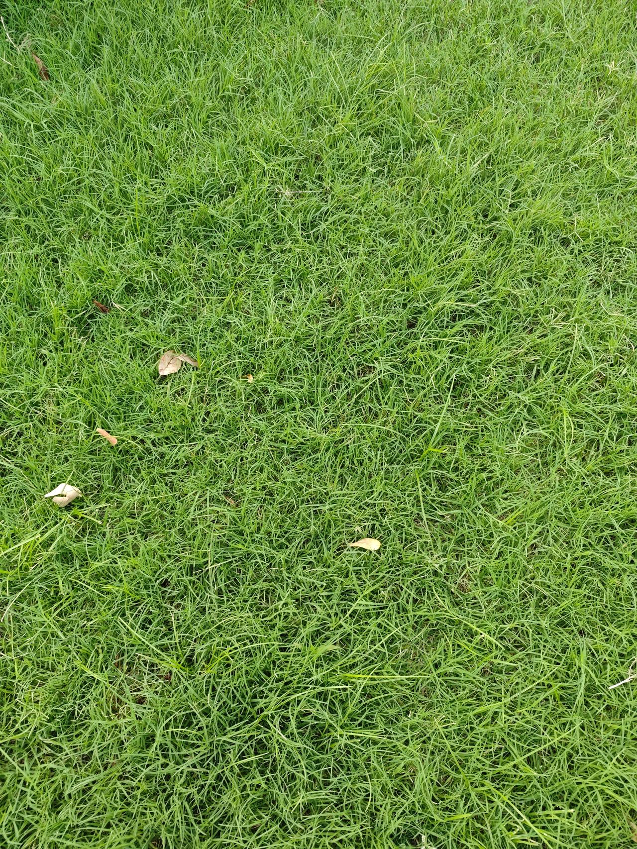 朋友说她儿子中考报的体育特长生，平时训练一双跑鞋就得八九百到一千，一个学期就得换