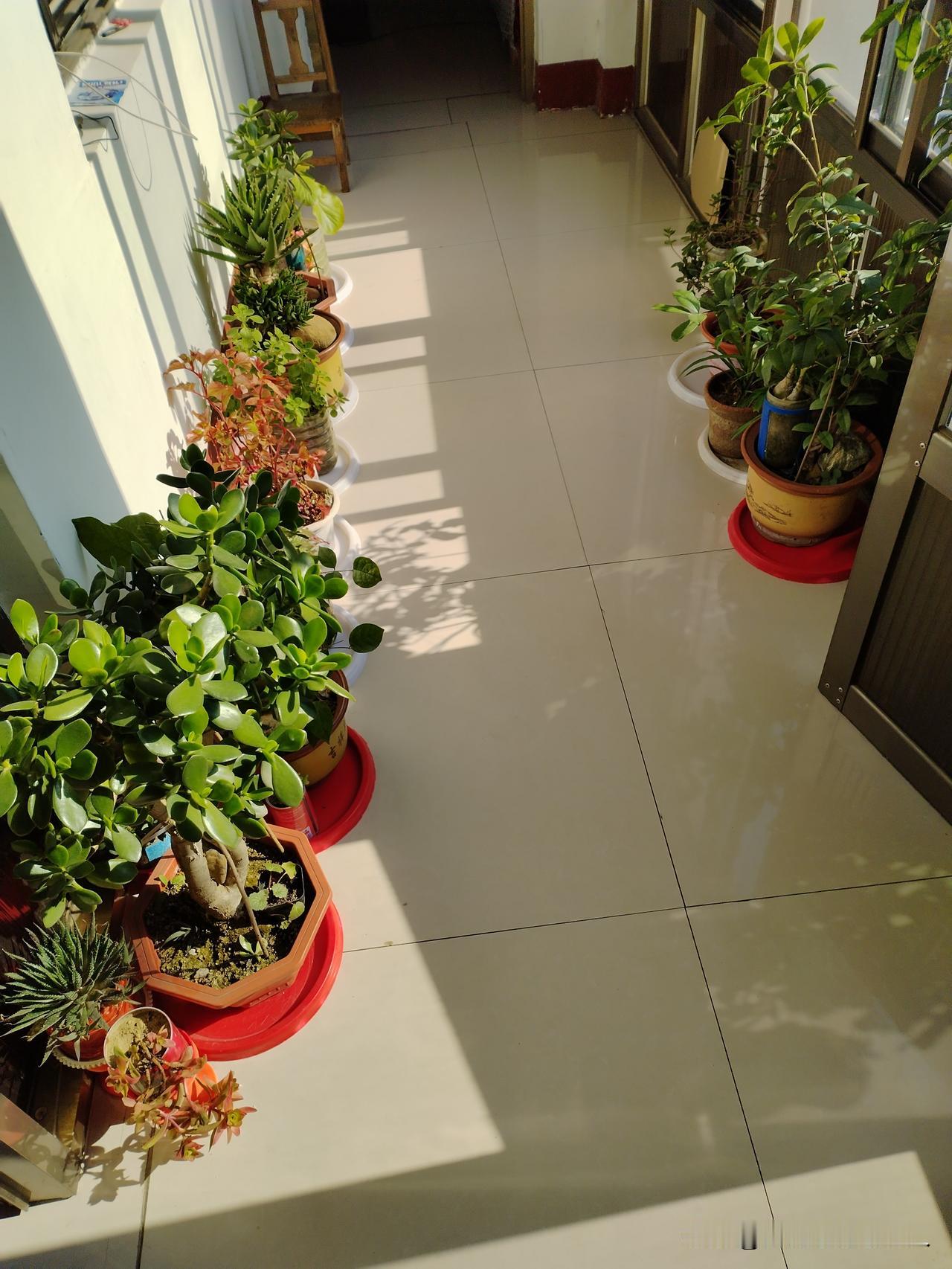 说真的
幸福就是大人孩子都平平安安健健康康，一家人和和睦睦
幸福哪有那么复杂，不