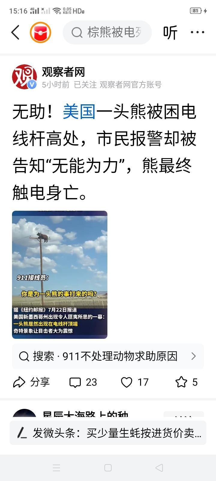 美国不是小鸟被困电杆上都停电去救吗？怎么困头熊反而不救了？这是越大的动物越不救吗
