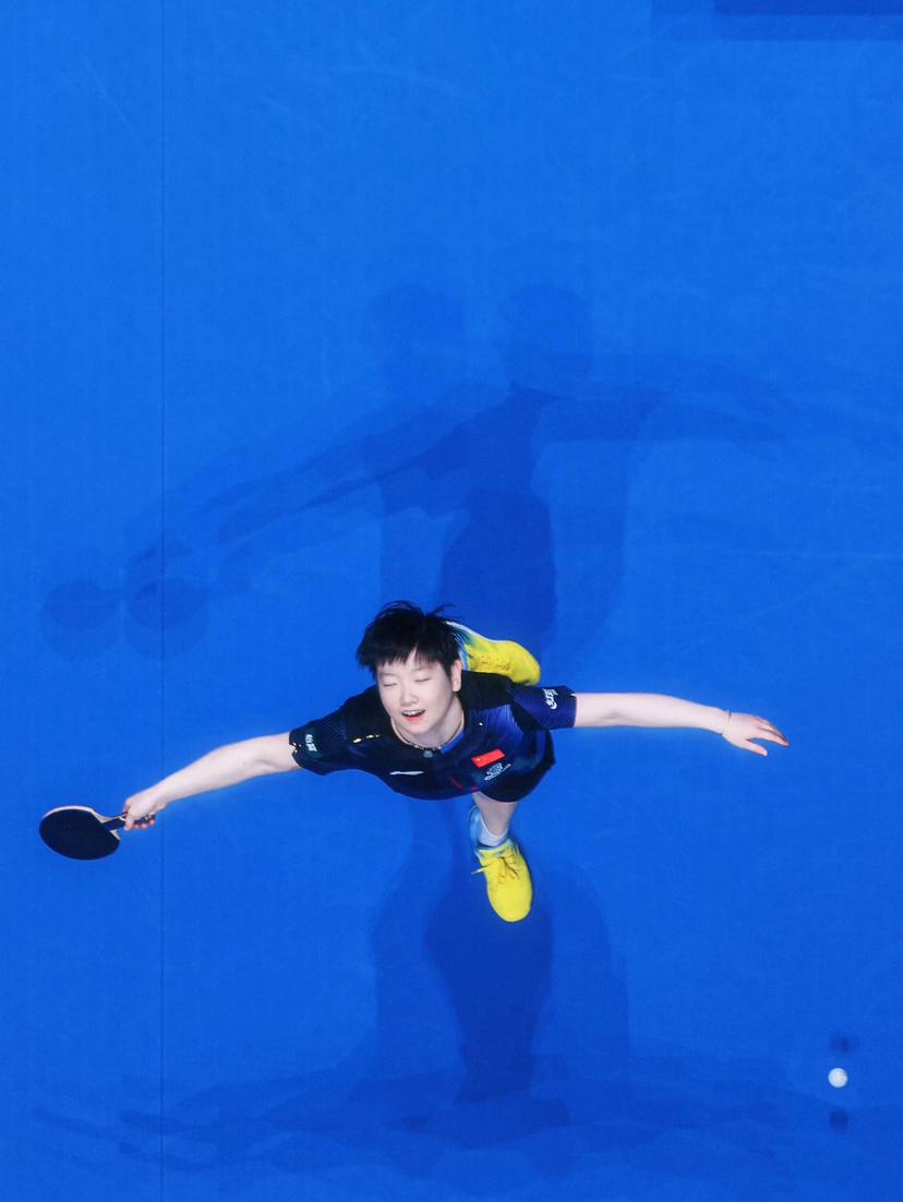 孙颖莎不但收获极高评价，
女子选手还未有人实现过，
樊振东曾经实现过。

可惜他