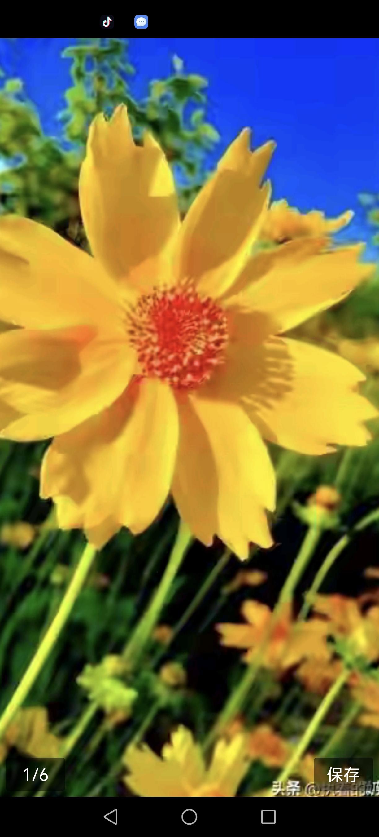 在城市的角落，有一种情感，深沉而复杂，那是一段被时间和法律所忽略的关系。她，名叫