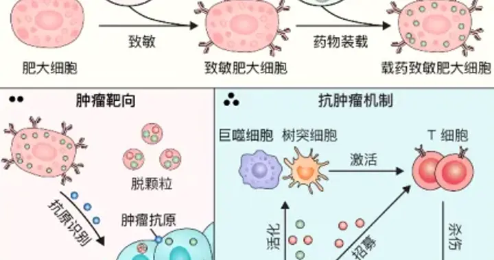中国科学家，发现抗癌“新利器”！