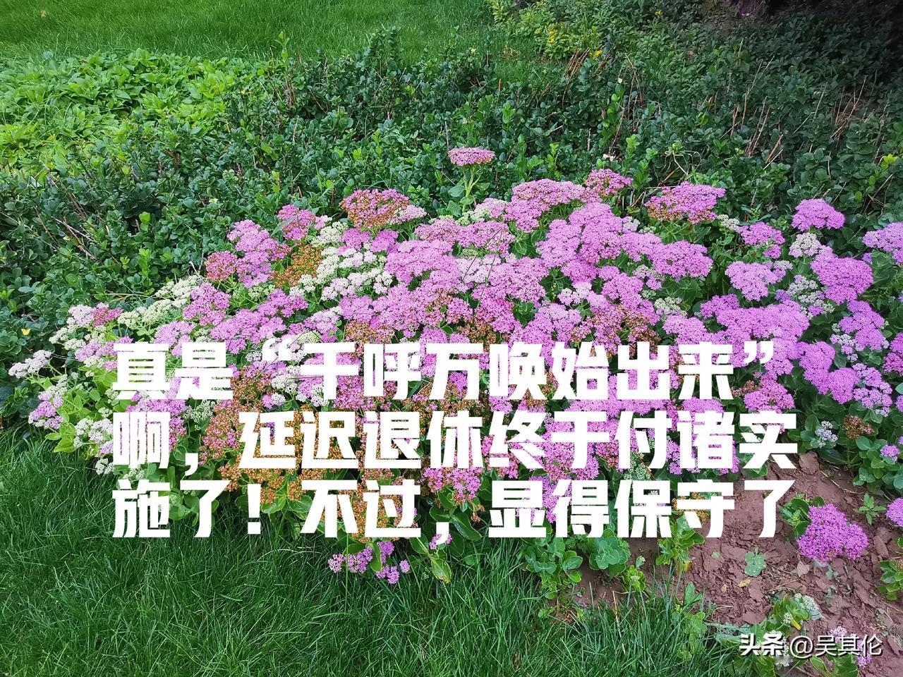 真是“千呼万唤始出来”啊，延迟退休终于付诸实施了！
可是，要花十五年时间才把男性