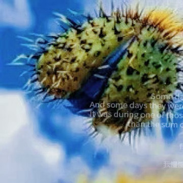 早安 ᵕ̈  ᴹᴼᴿᴺᴵᴺᴳ 🌵 愿所有的早安都有回应，愿心中所愿都将被实现。