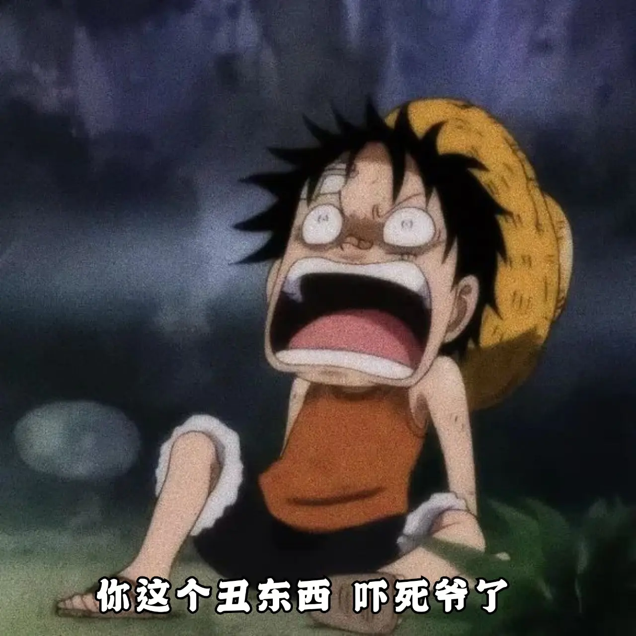 把小路飞的奇奇怪怪做成日常表情包！
