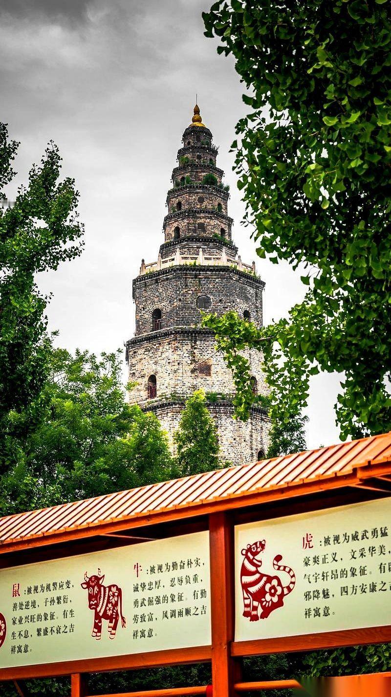 别问我兖州是哪儿的。
我怕我一张嘴，先流出来的不是答案，是口水。
就为了那一口夹