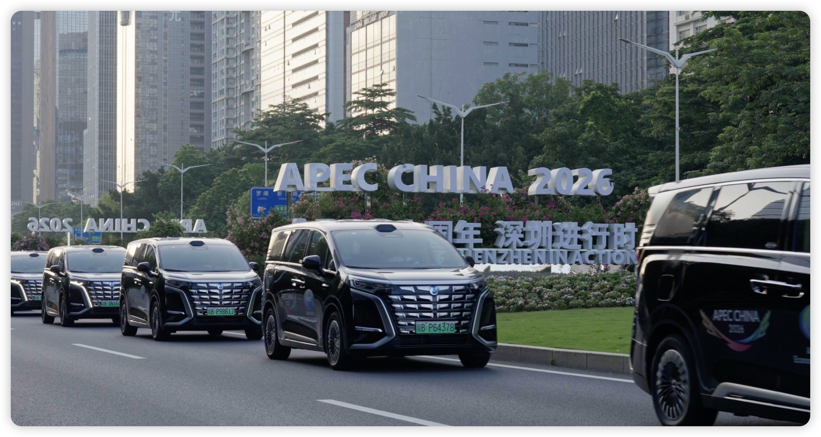 绿色相伴共赴山海，大家有关注到深圳举办的APEC林业相关会议么？整场活动以绿色生