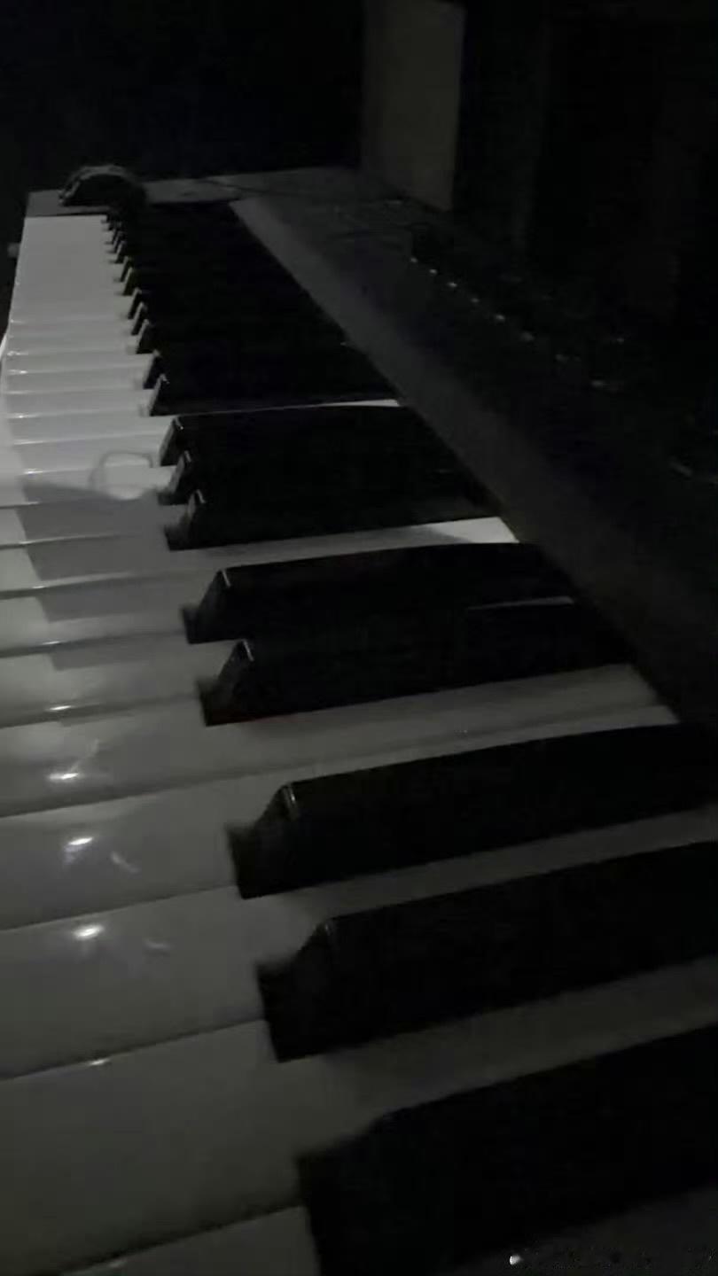 娱乐张子墨今日创作张子墨的字 小馍的字好好看 