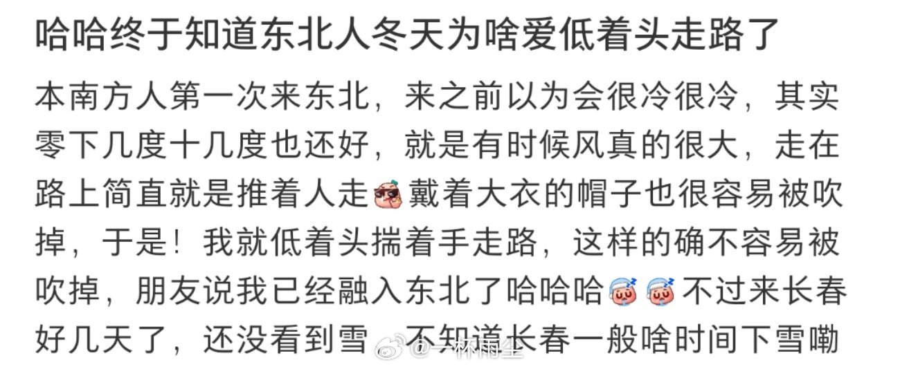 哈哈终于知道东北人冬天为啥爱低着头走路了 ​​​