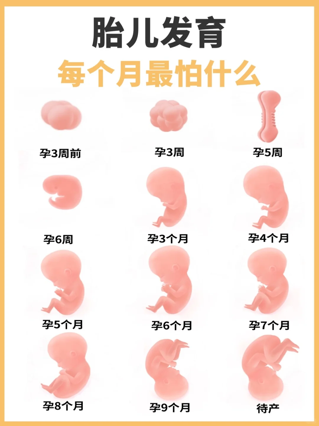 怀孕期间每月胎宝宝最怕什么？孕妈妈必看❗️