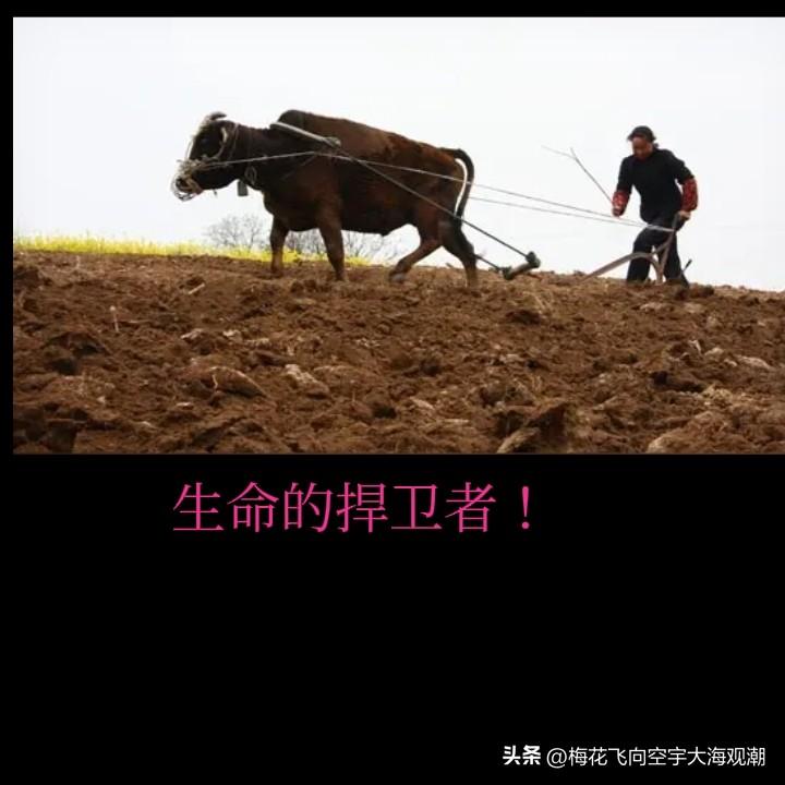 我不叫任何演员是明星，只叫演员。农民中有许多名人，为什么不喊他们明星？
农民是人