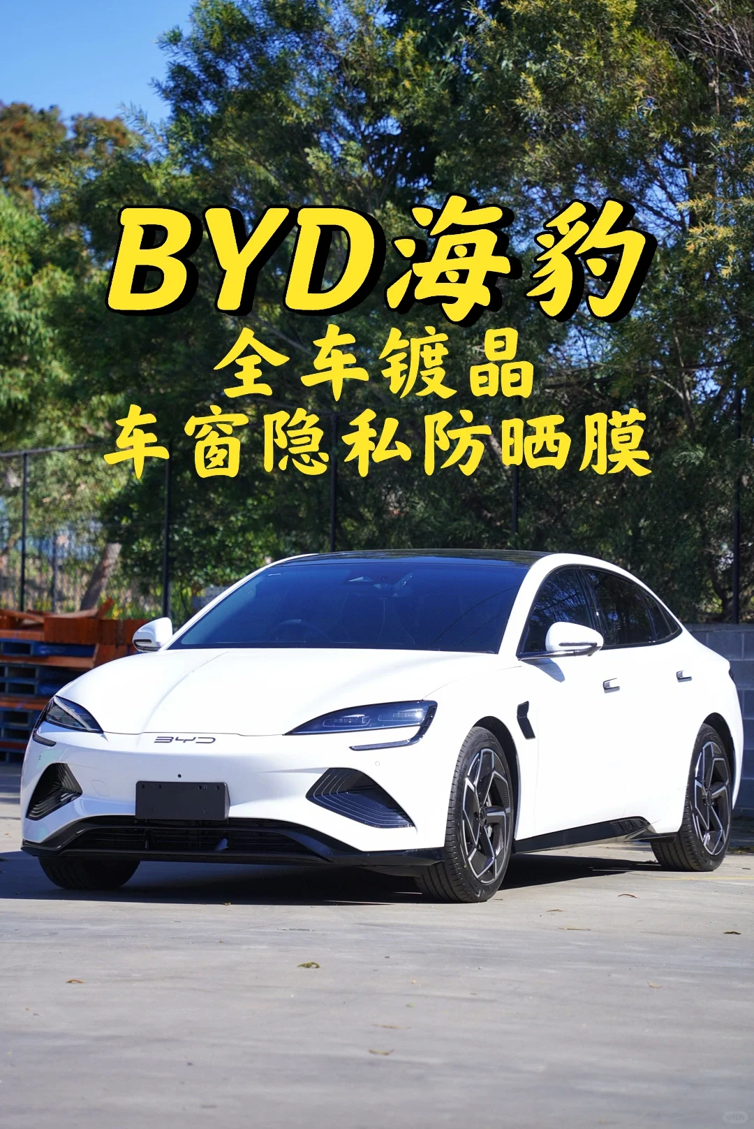 悉尼贴膜 BYD海豹 全车镀晶+车窗隐私防晒膜