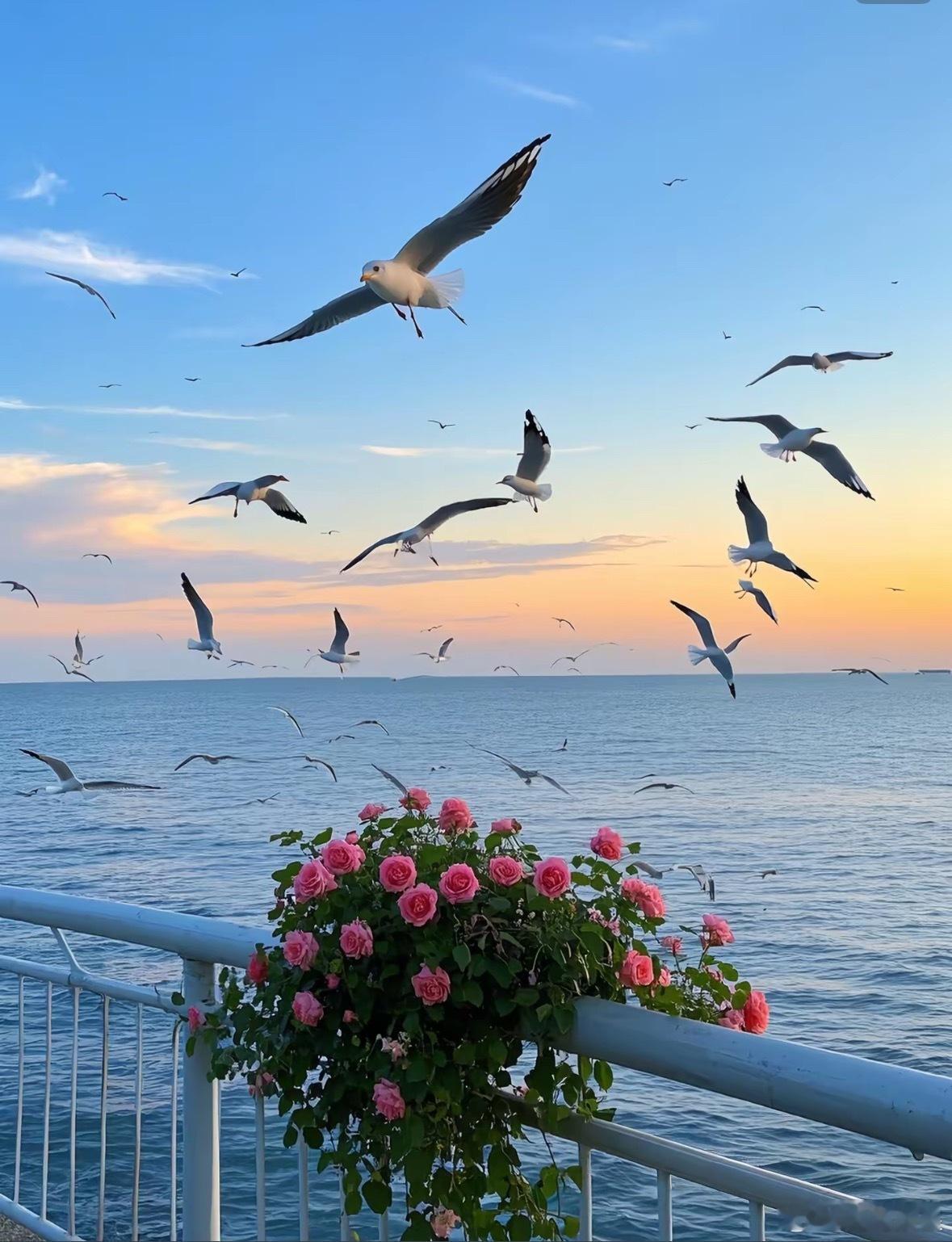 “告诉你有个人，曾如星空藏匿于我的眼眸，藏匿于我跌跌撞撞的笔端，但我天生是一座没