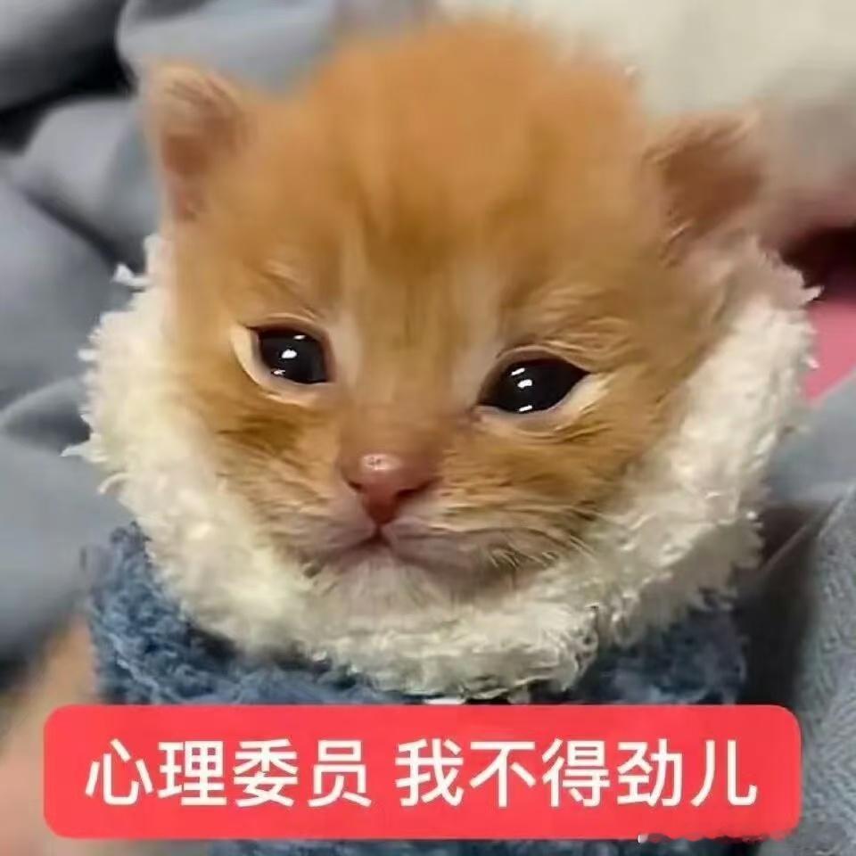 妹妹？范丞丞泥…… 