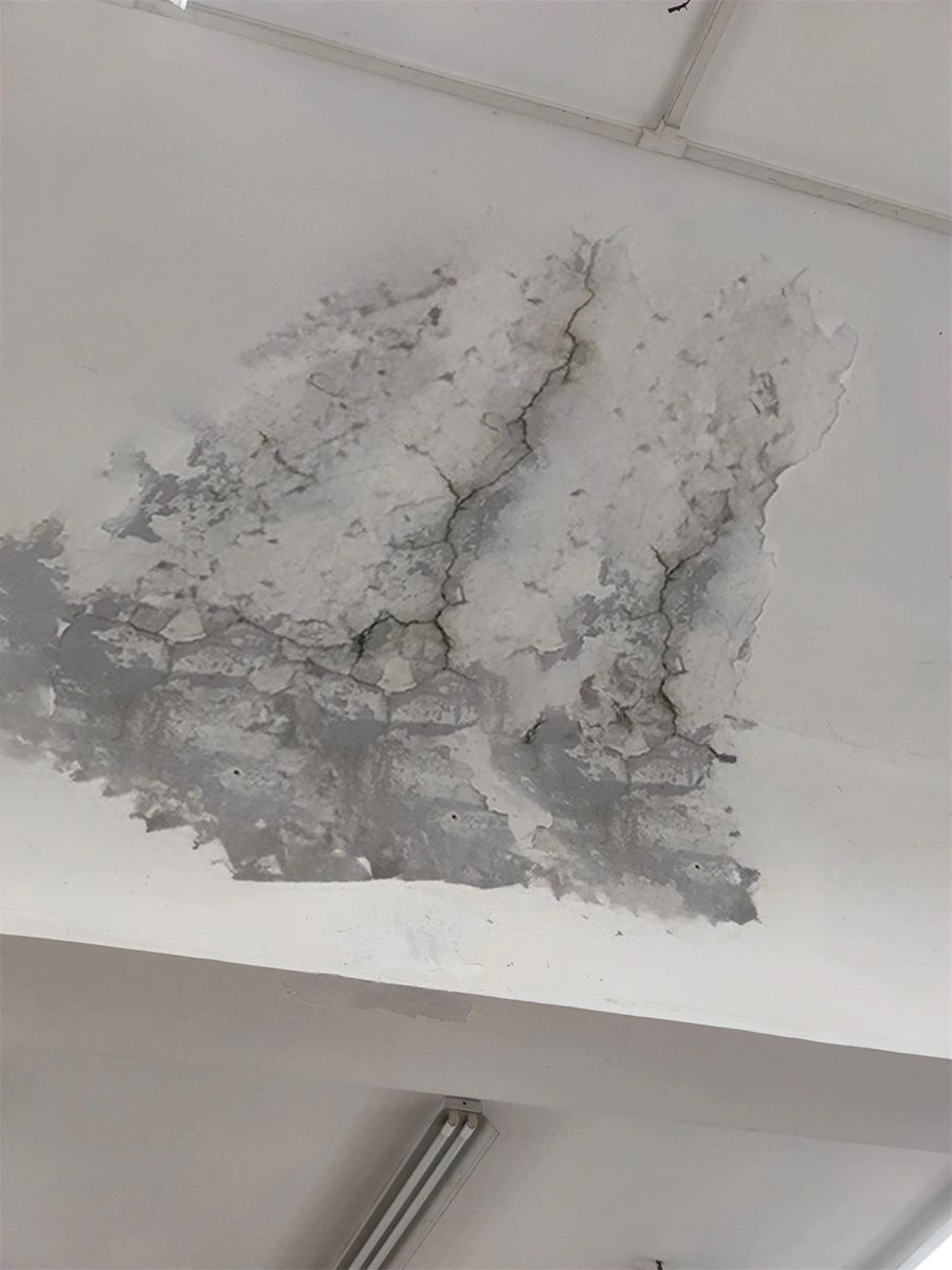 除醛盲目闷放2个月，30万装修全打水漂 避雷