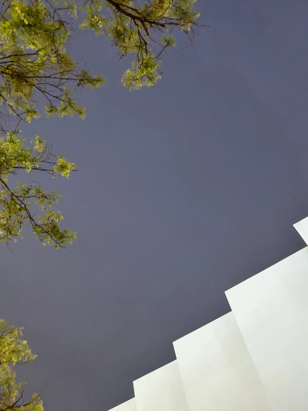 我发现男生对女生真心的喜欢是有些自卑