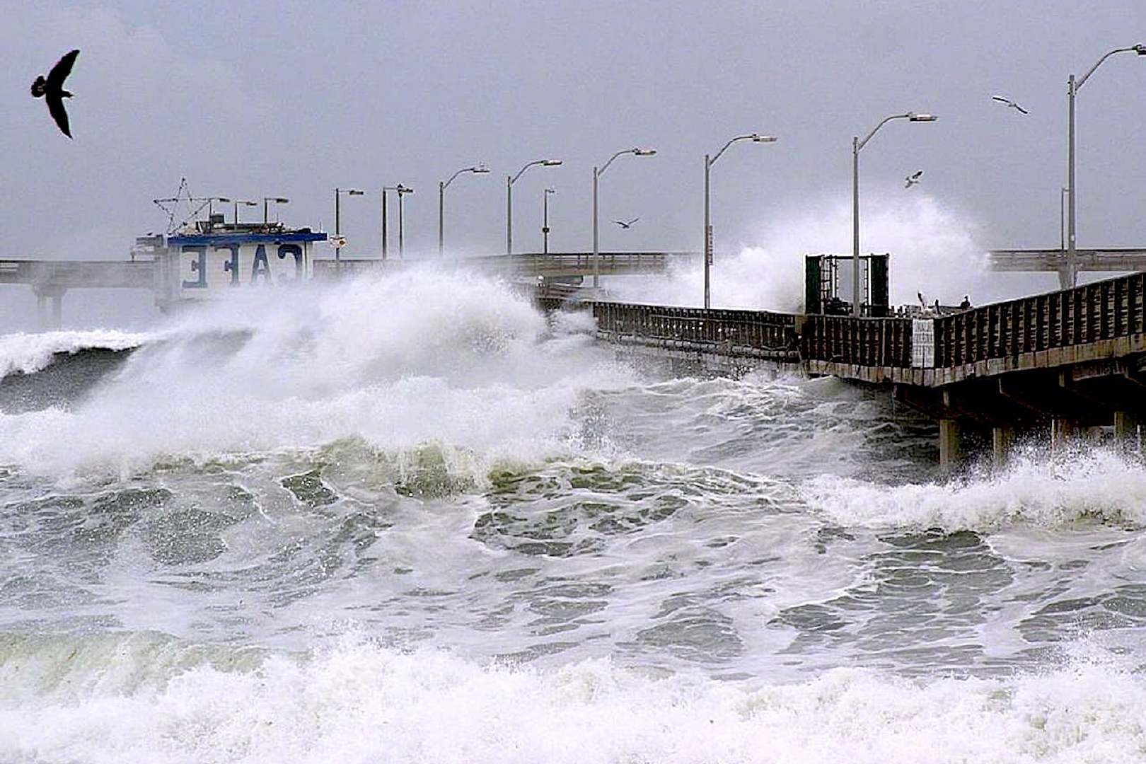 东太平洋有些海域的海面，这几个月抬高了40厘米。那里没有多下雨，海水只是变热了。