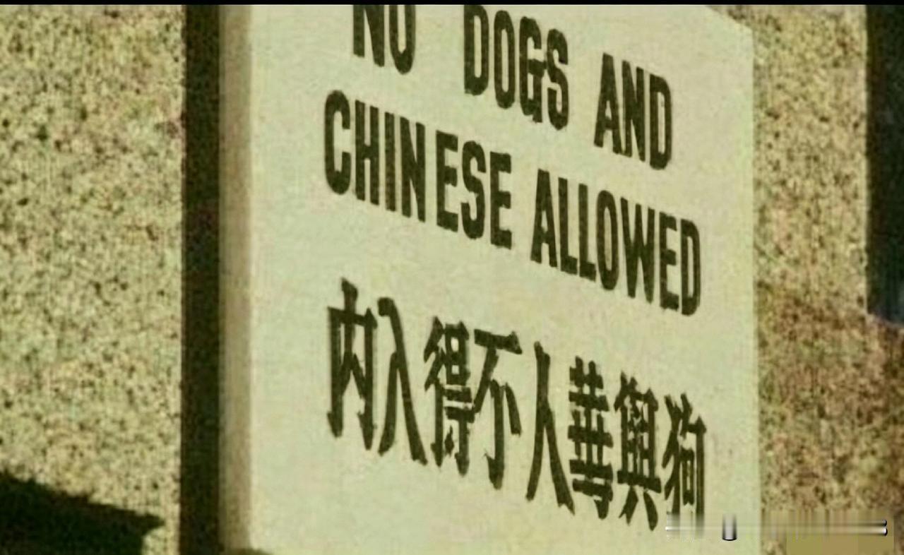 龙应台出生在台湾，名字很独特应景，言论更是逆天。她有一句经典“铭言”，叫做“我不