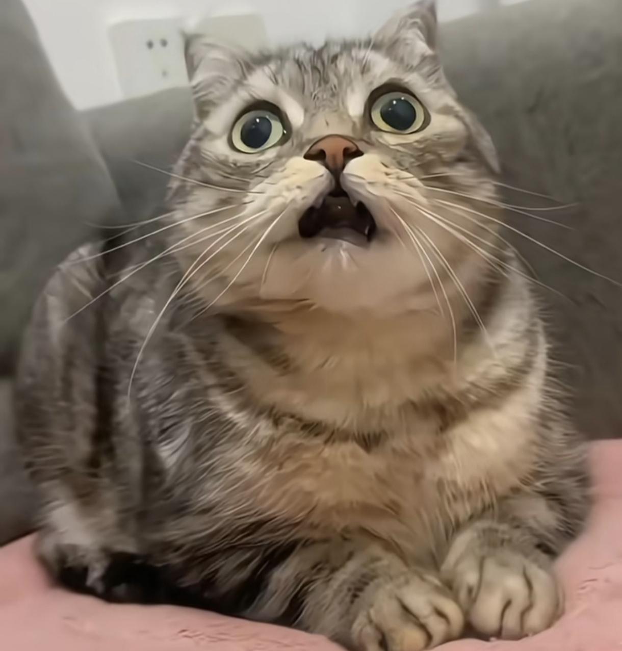 各位糖友们，说说这是怎么回事？到底是血糖仪的问题？还是试纸问题？你们遇到这种情况