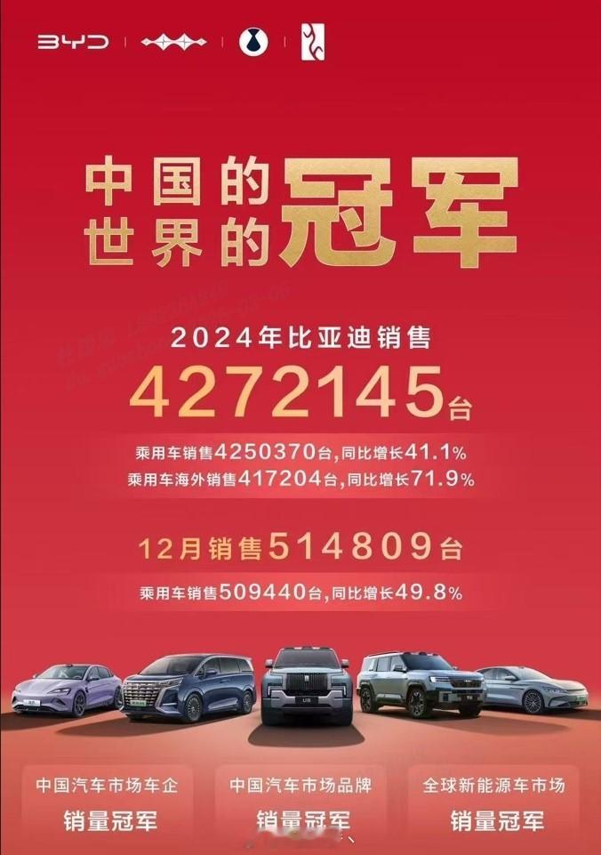 还得是迪子啊，2024年又双拿下中国汽车市场车企销量冠军、中国汽车市场品牌销量冠