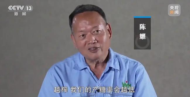 2026年四月，南方气温渐升，可两广、福建不少蔗农的心里却凉透了。田埂间，一排排