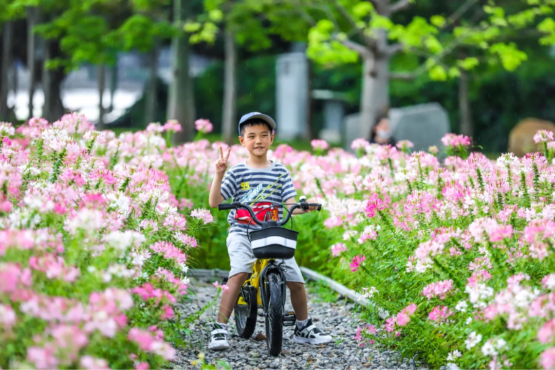 夏天出游，好物分享