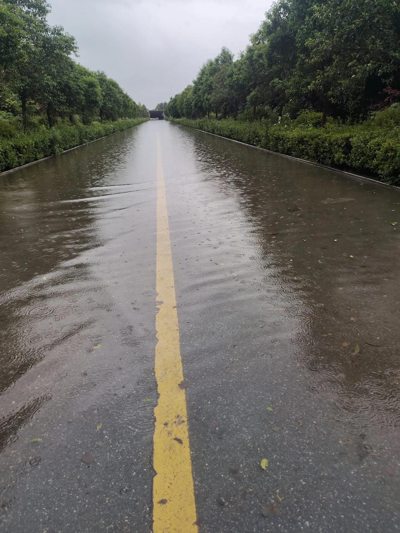 最近几天下雨宅家里几天没出门，晚上吃过饭雨停跑出去散散步，下雨过后路上的人很少，