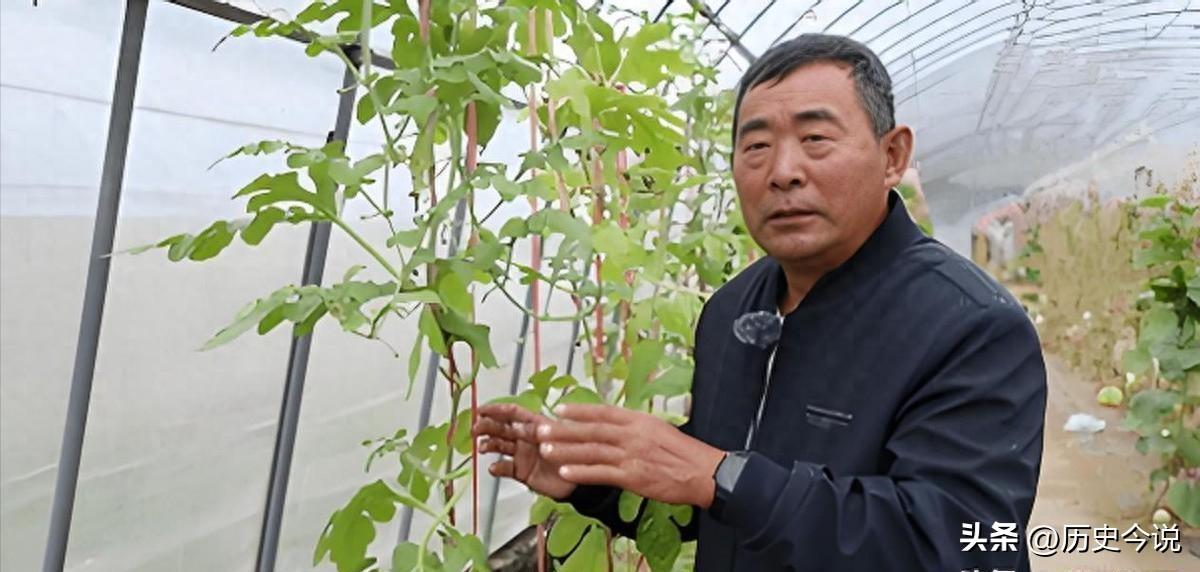 无高学历破世界级农科难题！黑龙江农民拒300万美元挖角，造福亿万瓜农
 
阅读此