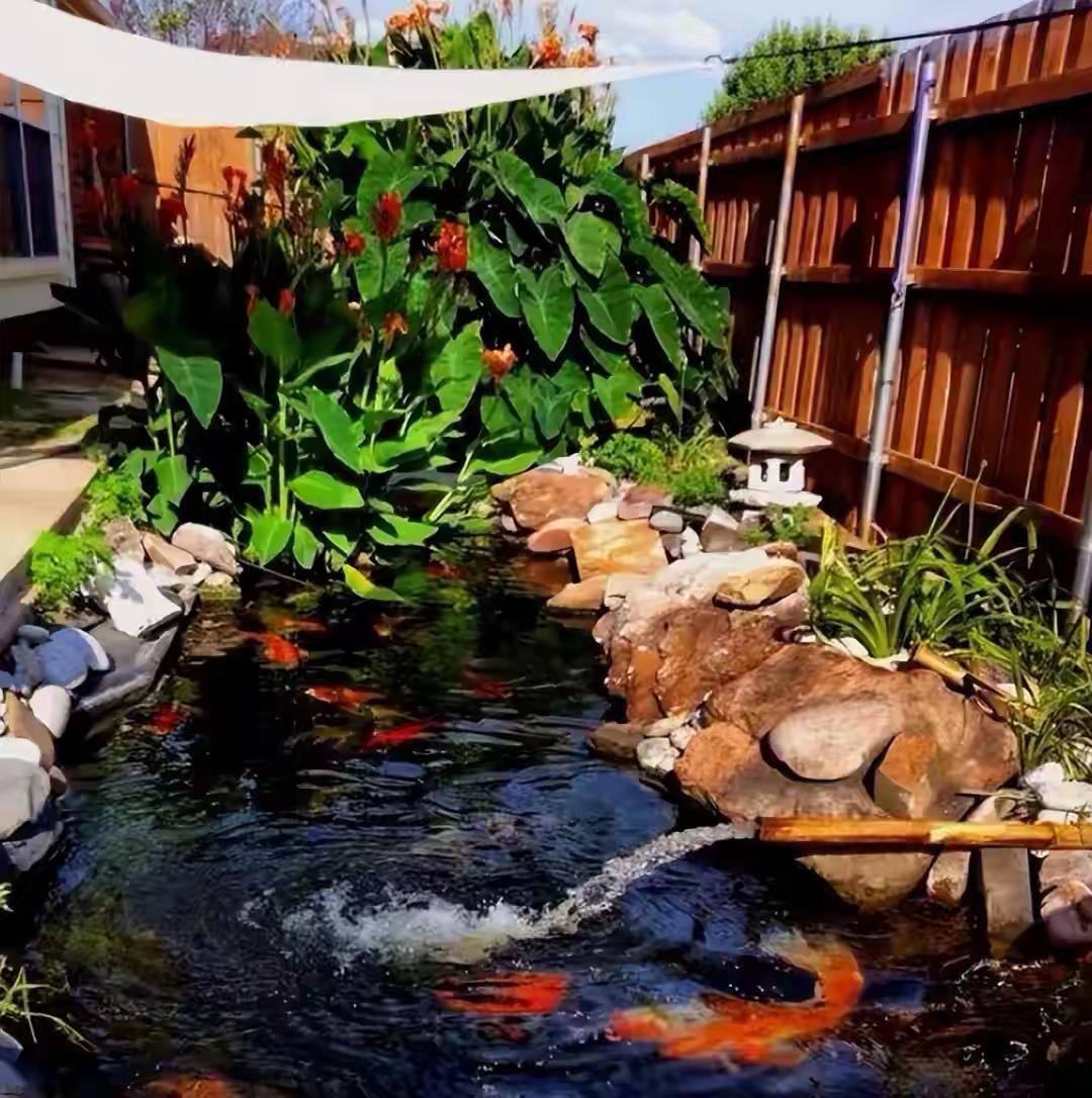 七月，是盛夏的篇章，万物生长，人间滚烫。

人生如夏，热烈与风雨共生，起落浮沉皆