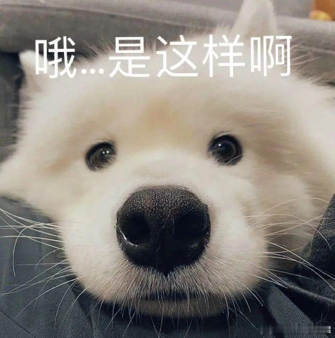 #如何高情商请假#你别说网友的脑洞也太大了，而且也是特别的实用，毕竟谁上班还不请