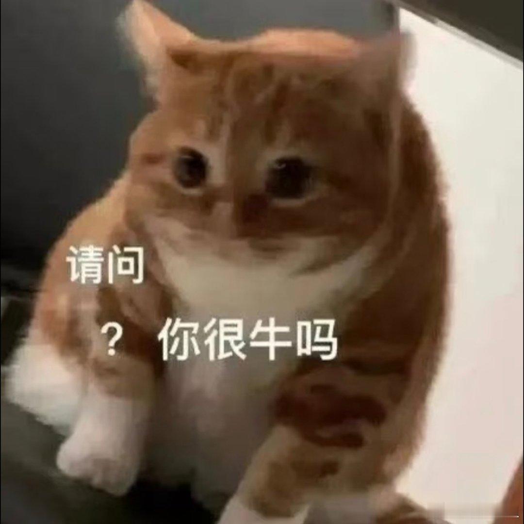 小猫表情包分享。 