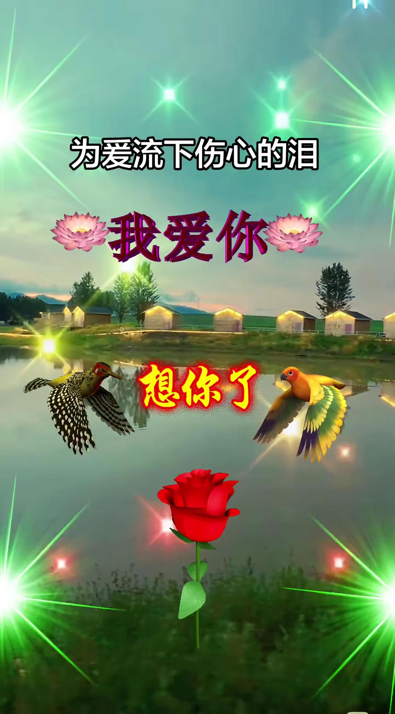 为爱流下伤心的泪 伤感音乐 句句扎心 听哭了多少痴情人